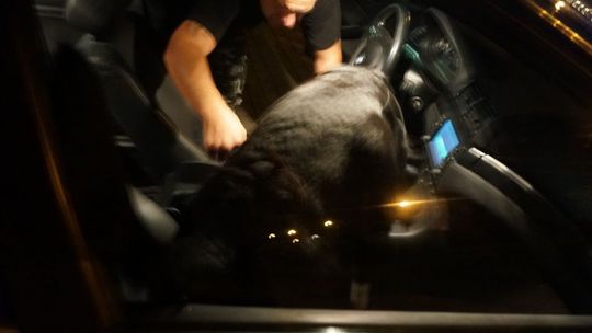 Był pod wpływem narkotyków. Nielegalne środki miał też w aucie