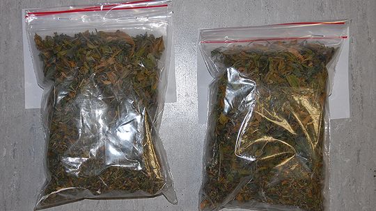 Miał przy sobie narkotyki