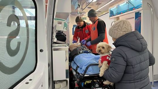 Mieszkanka Bań uratowała życie wyziębionej osobie. Siła empatii i akcja ratunkowa