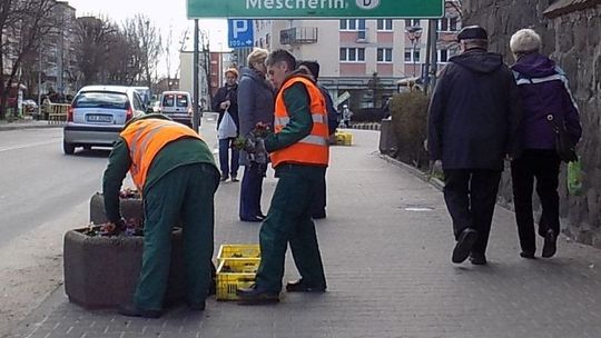 Miler lakonicznie o tym, kto zajmuje się zielenią w gminie
