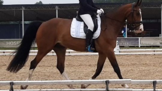 Mimo pandemii nasza młodzież odnosi sukcesy