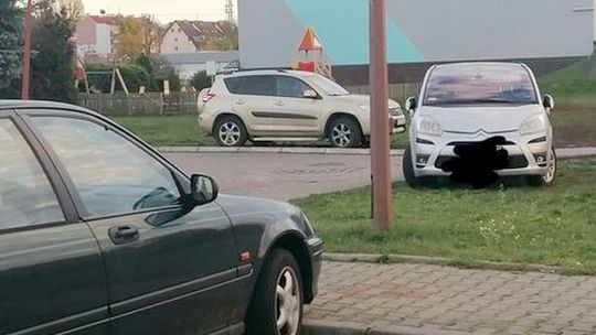 Mistrz parkowania na... trawniku