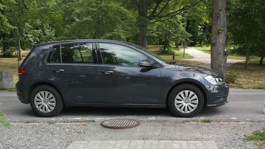 Mistrz parkowania w... parku