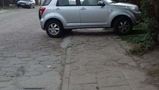 Mistrz parkowania z prawdziwego zdarzenia