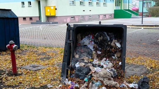 Młodociani wandale dewastowali w Halloween. Dorośli nie reagowali