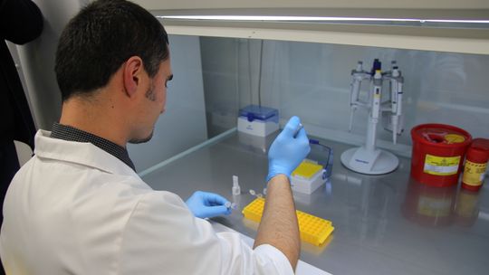  Młodzi naukowcy powalczą o finał i nagrody