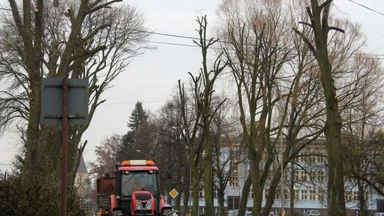 Mocno przycinają drzewa na Dworcowej