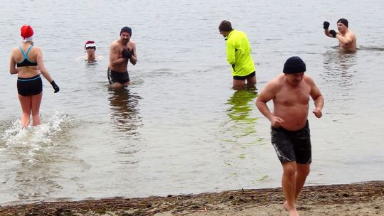 Morsy-mikołaje w jeziorze