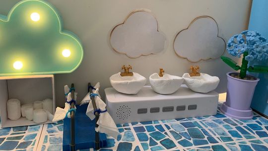 Muchomorki w ogólnopolskiej akcji TRON. Pomóż im wygrać remont łazienki! [FOTO]