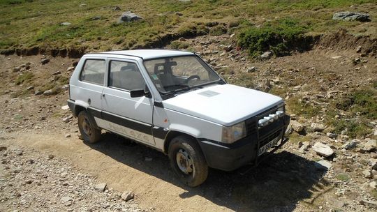 Muchy do towarzystwa, czyli jak wejść na szczyt