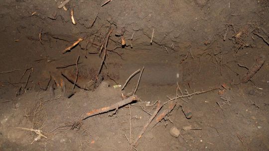 Myśleli, że to bomba, a to była…