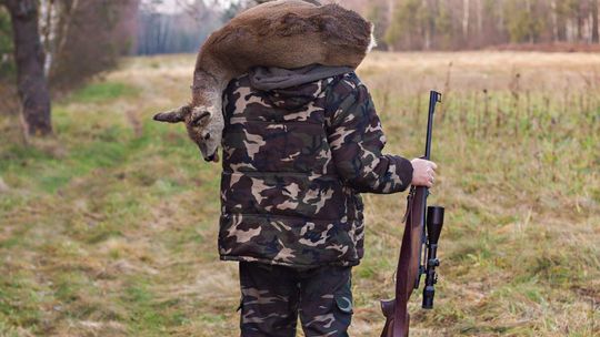 Myśliwi strzelają przez pomyłkę do ludzi i z premedytacją do psów. PZŁ chce szkolić