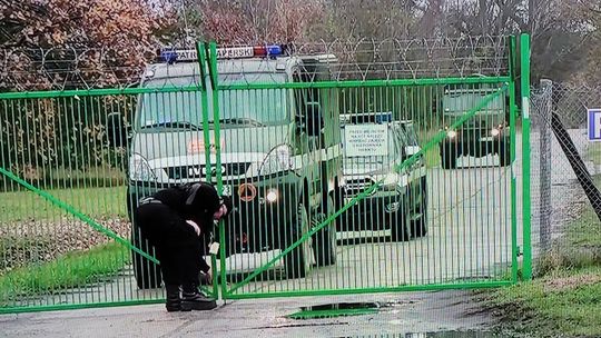 Myśliwy kłusował? Chciał strzelić w dzika, a trafił w żołnierza