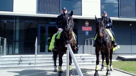 Na Dniach Gryfina służbę pełnią także policyjne konie