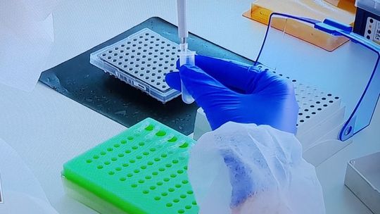 Na kwarantannie kilkaset osób w powiecie gryfińskim. Mamy kolejne zakażenia koronawirusem 