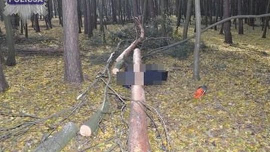 Na miejsce tragedii przyjechali prokurator i inspekcja pracy