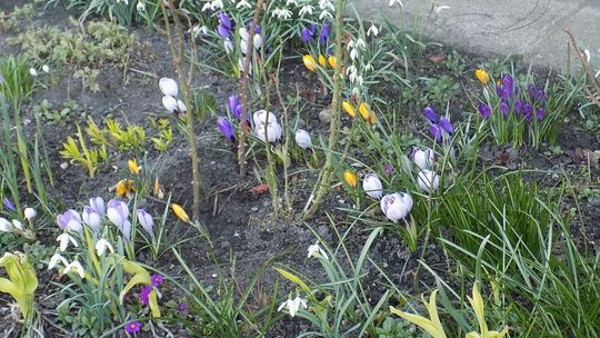 Na ten widok uśmiechnie się nawet ponurak