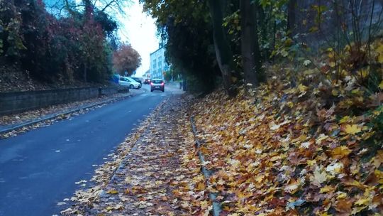 Na tym chodniku pełnym liści jest ślisko i niebezpiecznie Na tym chodniku pełnym liści jest ślisko i niebezpiecznie