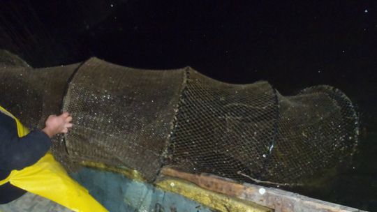 Na urlop przyjechał z sieciami. Kłusował i wpadł