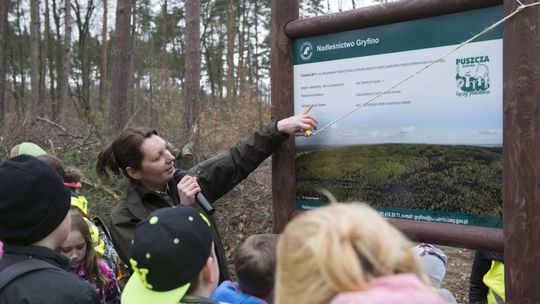 Na wyjątkowy spacer zaprasza Nadleśnictwo Gryfino. Liczba uczestników ograniczona