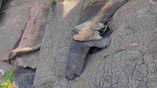 Na wysypisku śmieci papy nie przyjęli. Gdzie mam ją wyrzucić? - pyta czytelniczka