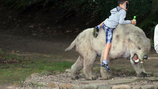 Naderwane ucho mamuta i ułamane poroże renifera. Trzeba zadbać o promenadę