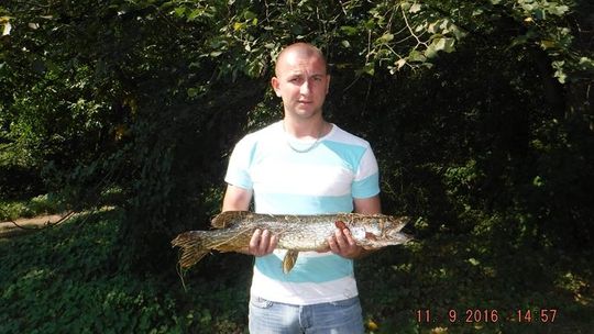 Nagrodą puchar i beczka chmielowego trunku