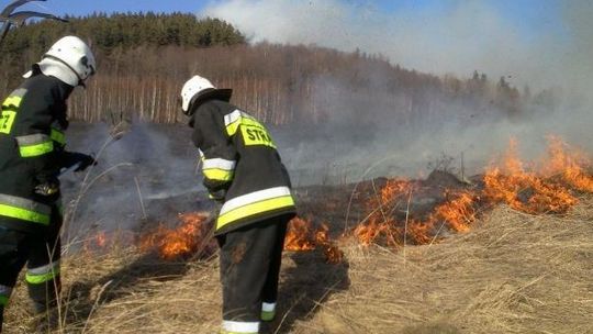 Najczęstsze akcje strażaków