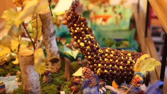 Najładniejsze cudaki-kasztaniaki