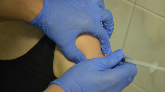 Najważniejsza jest odporność