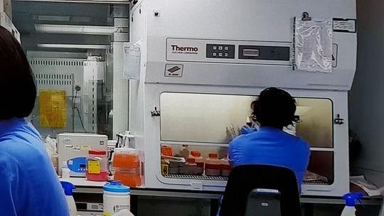 Najwięcej przypadków koronawirusa od początku epidemii