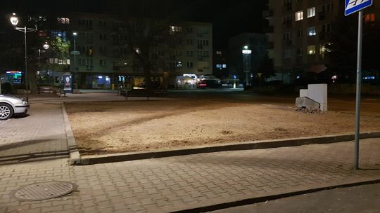 Największa kocia kuweta w mieście