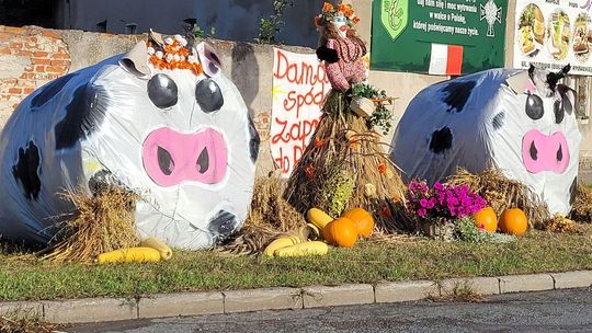 Największe święto plonów w powiecie gryfińskim? Koncerty gwiazd i atrakcje dożynek gminnych w Rynicy