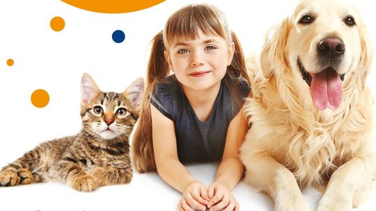 Nakarm bezdomne zwierzaki razem z Intermarché