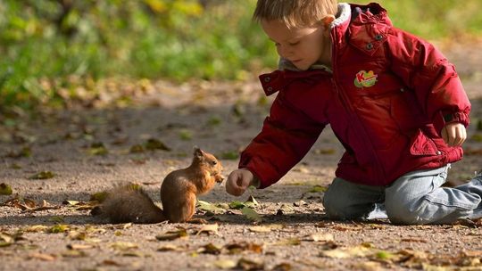 Nasze przedszkola uczą dzieci jak dbać o naturę 
