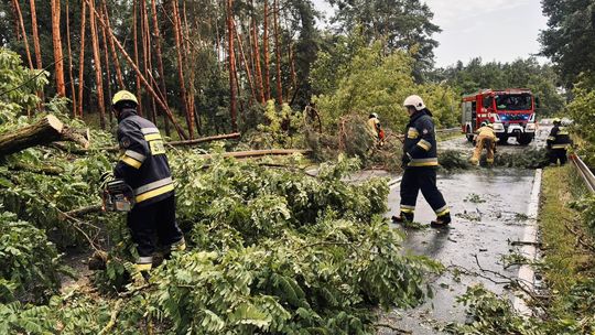 Nawałnica powaliła drzewa na drogi - interwencje strażaków niezbędne! [FOTO]