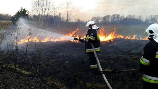 Nawet dziewięć razy dziennie