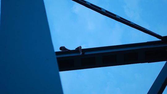 Negocjowali z podnośnika, rozłożyli skokochron