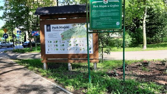 Niczym radna Witowska zapraszam pana burmistrza na spacer