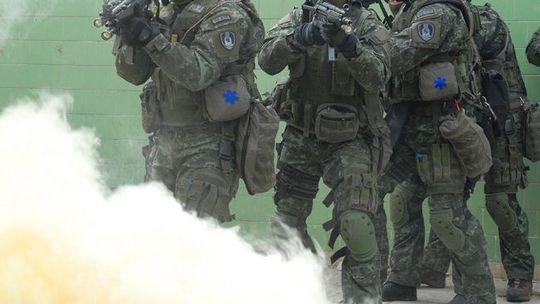 Nie było strzelaniny tylko wybuchy granatów hukowych