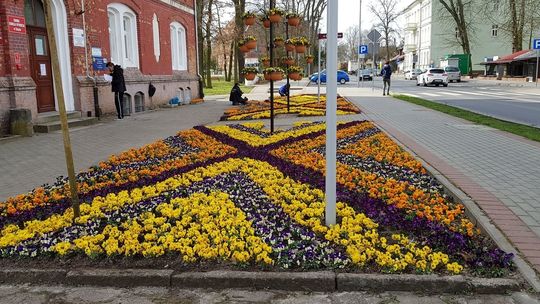 Nie czas podziwiać bratki, kiedy płonie koronawirus