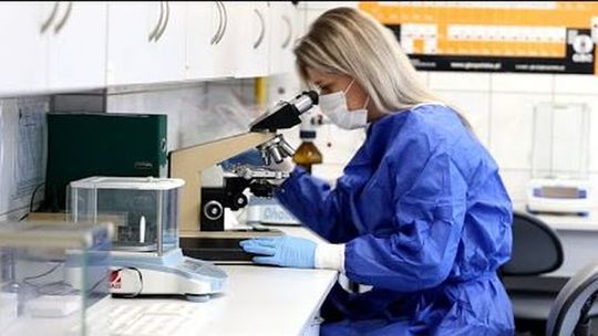 Nie ma związku między falami radiowymi, a powstawaniem nowotworów