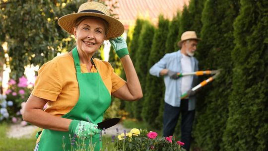 Koniec z ogniskami na działkach. Sprawdź nowe zasady pozbywania się gałęzi i liści - uniknij wizyty służb Koniec z ogniskami na działkach. Sprawdź nowe zasady pozbywania się gałęzi i liści - uniknij wizyty służb