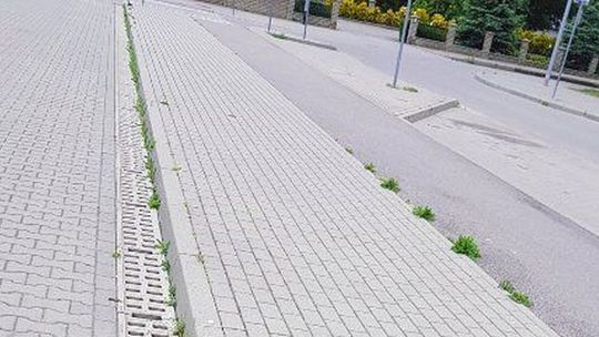 Nie tak powinna wyglądać ścieżka rowerowa - ocenia czytelnik przesyła zdjęcia z nabrzeża