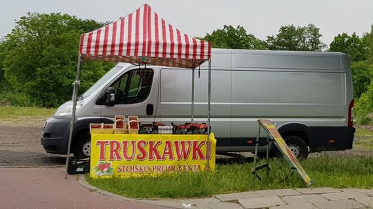 Nie uwierzysz po ile można kupić truskawki w Gryfinie!