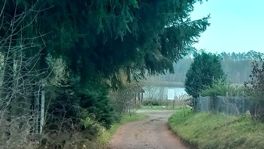 Nie wjeżdżają tam po odbiór śmieci. Czytelnik ujawnia przyczynę