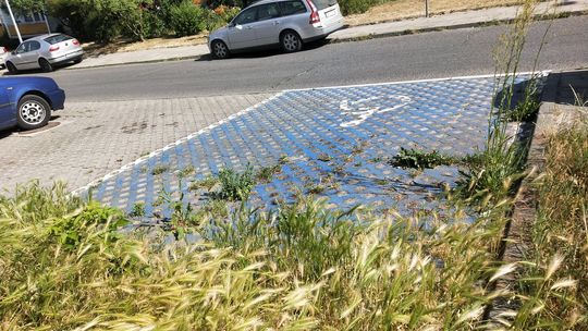 Nie za dużo takich miejsc? - pyta czytelniczka