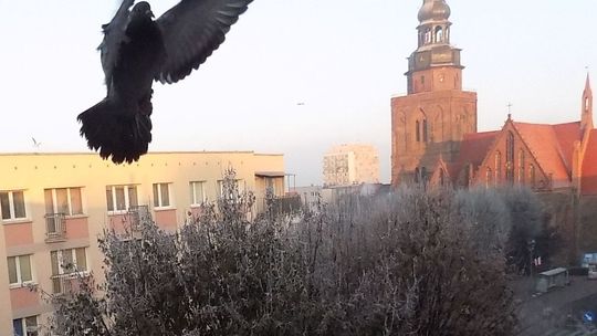 Nie zauważyli i nie podziwiali. Gdzie się podziali?