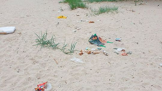 Nie zmieniajmy plaż w śmietniska