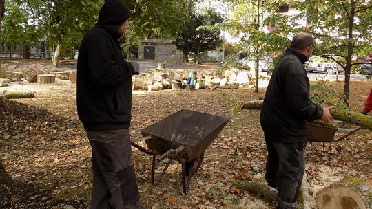 Niebezpiecznie w parku - list czytelnika z Gryfina Niebezpiecznie w parku - list czytelnika z Gryfina